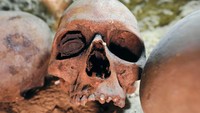 Tengkorak-tengkorak pun ditemukan. Identitas tengkorak ini masih misteri. Foto: Mohamed Abd El Ghany/Reuters