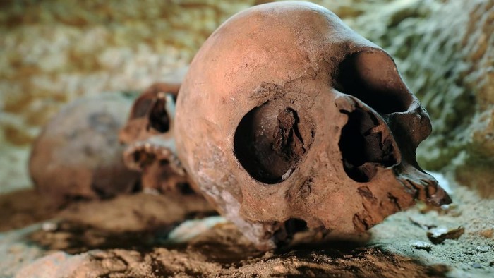 Pengakuan Ahli Mesir Kuno Batuk Darah-Halusinasi Parah usai Buka Makam Mumi
