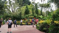 Di halaman depannya, sudah dipamerkan beberapa jenis anggrek yang berwarna-warni. Penasaran seperti apa isi dari taman ini? (Bonauli/detikTravel)