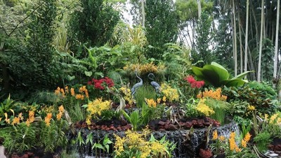 Potret Taman Anggrek Terbesar di Dunia
