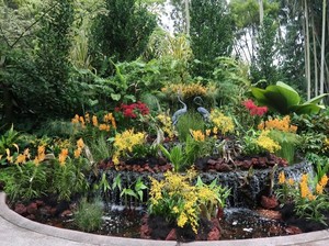 Taman Anggrek Terbesar di Dunia Ada di Singapura