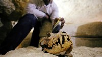 Proses ekskavasi diperkirakan memakan waktu hingga 5 tahun. Foto: Mohamed Abd El Ghany/Reuters