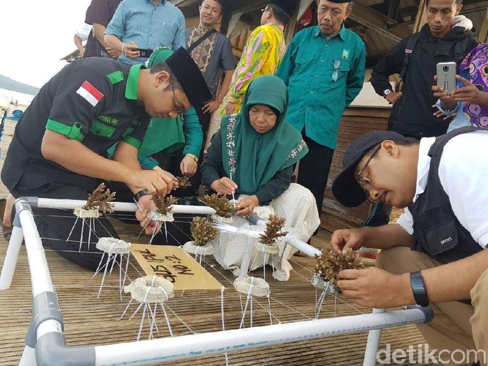 Di Bangsring Underwater, Gus Ipul Beber Program Seribu Dewi