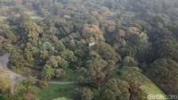 Jika traveler sudah tahu tempatnya, inilah Acharya Jagadish Chandra Bose Indian Botanic Garden atau biasa disebut Kebun Raya Kolkata (Fuad Fariz/detikTravel)
