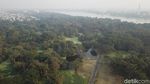 Foto Drone: Hutan dari Satu Pohon di India