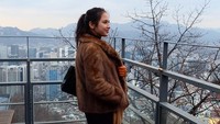 Dari Namsan Tower, Pevita juga sempat menikmati indahnya Seoul dari ketinggian. Selain dikenal dengan gembok cintanya, Namsan Tower juga jadi salah satu tempat terbaik untuk melihat Seoul (pevpearce/Instagram)