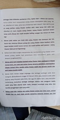 Vitapet Pluit Jawab Tudingan Viral Telantarkan Anjing hingga Mati