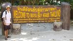 Foto: Terlalu Ramai, Pulau Leonardo DiCaprio Thailand Ditutup