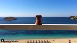 Foto: Teddy Bear yang Keliling Dunia