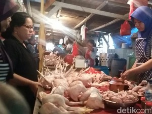 Harga Daging Ayam Naik Jadi Rp 50.000/Ekor