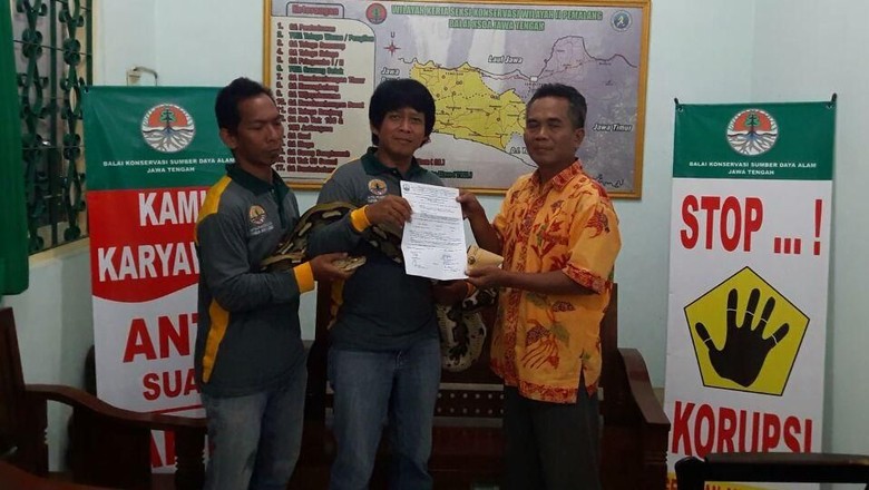 Penangkaran Tunggu Pemilik Ular yang Lepas di KA Kertajaya Penangkaran Tunggu Pemilik Ular yang Lepas di KA Kertajaya