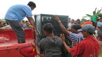 Untuk sementara ini orangutan ada di kandang transit SKW 2 Pangkalan Bun BKSDA Kalteng. Rencana mau translokasi atau dipindahkan ke Suaka Margasatwa (SM) Lamandau Kalteng, ujar pihak BKSDA Kalteng. (Dok. BKSDA Kalteng)