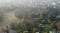 Menyoal The Great Banyan atau sebuah pohon yang berubah menjadi hutan ini adalah pohon sejenis beringin (Ficus benghalensis). Batang utamanya hancur setelah terkena dua kali badai siklon besar pada tahun 1864 dan 1867 (Fuad Fariz/detikTravel)