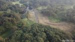 Foto Drone: Hutan dari Satu Pohon di India