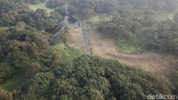 Kebun tersebut memamerkan beragam tanaman langka dengan total koleksi mencapai lebih dari 12.000 spesies tanaman yang tersebar di lahan seluas 109 hektar(Fuad Fariz/detikTravel)