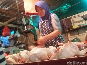 Harga Daging Ayam Turun Tipis Jadi Rp 40.000/Ekor