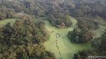 Foto Drone: Hutan dari Satu Pohon di India