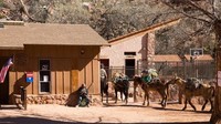 Letak Desa Supai sedalam 3.000 kaki atau 91 meter dari jurang tebing. Traveler harus menempuh perjalanan 107 kilometer dari jalan terdekat, kemudian menyusuri lembah di dasar Canyon Havasu (BBC Travel)