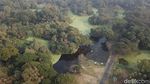 Foto Drone: Hutan dari Satu Pohon di India