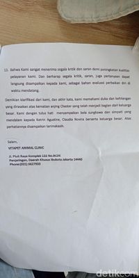 Vitapet Pluit Jawab Tudingan Viral Telantarkan Anjing hingga Mati