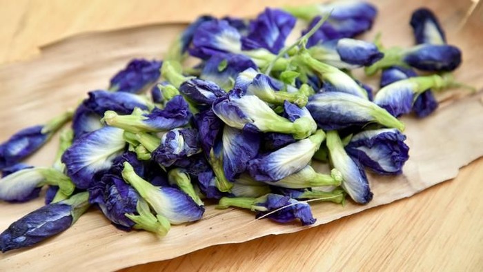 Jangan Keliru, Ini Waktu Terbaik untuk Minum Bunga Telang