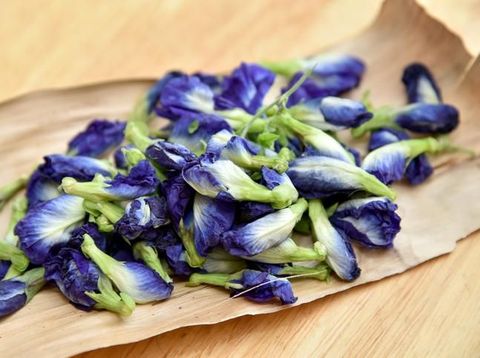 butterfly pea flower tea