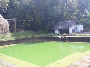 Pemandian Dewi Sri, Diyakini Peninggalan Mataram Kuno di Magetan
