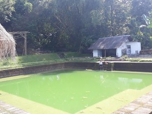 Pemandian Dewi Sri, Diyakini Peninggalan Mataram Kuno di Magetan