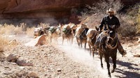 Di sini pula rumah bagi suku asli Amerika, Indian Havasupai yang telah tinggal selama lebih dari 1.000 tahun (BBC Travel)