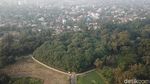 Foto Drone: Hutan dari Satu Pohon di India