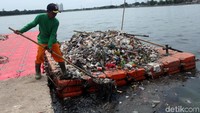 Petugas kebersihan saat mengambil sampah yang berada di Danau Sunter.