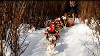 Kereta luncur anjing yang terakhir di Fort Chipewyan. Lebih kuat dan lebih berat daripada kereta luncur balap biasa, karena mampu mengangkut penumpang dan barang bawaan (BBC Travel)
