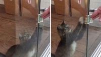 Ia tinggal di sebuah kantor. Istimewa/Berodpanda