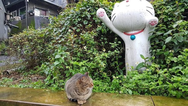 Berbagai patung kucing dan toko-toko suvenir bertema kucing juga dibangun di Houtong (hydress77/Instagram)