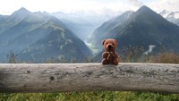 Ini salah satu foto Peep tatkala sedang berada di Penken, Zillertal, Austria. Mengemaskan bukan? (teddybearabroad/Instagram)