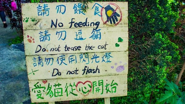 Buat yang berkunjung, ada aturannya. Seperti dilarang memberi makan kucing dan memotret tanpa flash (mmm270_/Instagram)