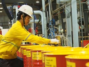 5 Jurusan Kuliah Ini Langka di Indonesia, Pernah Dengar?
