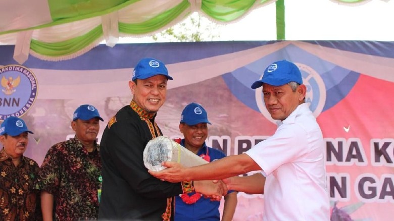 Kementan Dukung Program Alternative Development Aceh Bebas Narkoba Kementan Dukung Program Alternative Development Aceh Bebas Narkoba