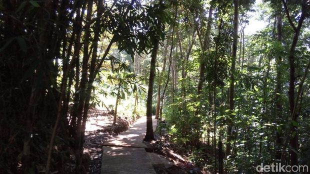 Air Terjun Baru yang Lagi Naik Daun di Semarang