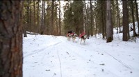 Saat melakukan perjalanan, Grandjambe membalut anjing dan juga dirinya sendiri dengan pakaian tradisional Cree yang dijahit oleh istrinya, Barbara (BBC Travel)