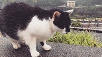 Semuanya tampak bersih terawat (jjang.ye/Instagram)