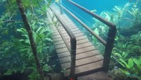 Foto: Luapan sungai yang melanda kawasan hutan ini malah mempercantik hutan. Air yang menutup kawasan hutan berwarna jernih dan membuat pemandangan bawah air yang cantik. Bahkan terlihat seperti Atlantis. (Recanto Ecologico Rio da Prata/Youtube)