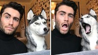 Pria bernama Liam Rice ini menjadi salah satu pencetus tren pemilik anjing yang mengekspresikan raut wajah yang sama dengan anjingnya.