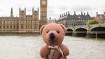 Foto: Teddy Bear yang Keliling Dunia