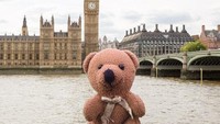 Peep telah berkunjung ke banyak tempat cantik di dunia seperti London di Inggris. (teddybearabroad/Instagram)