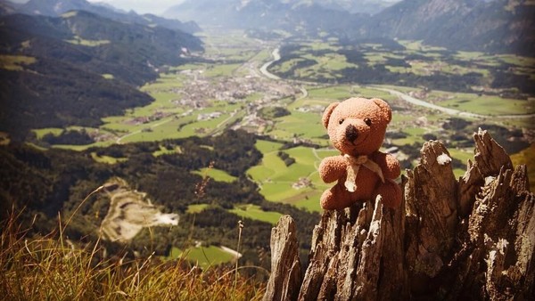 Tempat-tempat yang telah dikunjungi Peep, mulai dari Malta, Islandia, Spanyol, London, Austria, Swiss, Belanda, Italia dan masih banyak lagi. (teddybearabroad/Instagram) Tempat-tempat yang telah dikunjungi Peep, mulai dari Malta, Islandia, Spanyol, London, Austria, Swiss, Belanda, Italia dan masih banyak lagi. (teddybearabroad/Instagram)