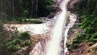 Panjang jalan yang sudah tembus, sebagian besar kondisinya sudah beraspal, yakni sepanjang 327,48 km, jalan kondisi agregat panjangnya 123,89 km dan jalan tanah 291,04 km. Pool/Kementerian PUPR.