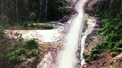 107 Km Jalan Perbatasan Kalbar Masih Belum Tembus Hutan
