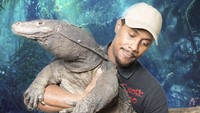 Black Dragon ini sukses dikembangbiakan di Kosta Rika sejak 2007. Black Dragon juga sudah mulai menjadi koleksi kebun binatang misalnya Exotic Zoo di Michigan, AS (Exotic Zoo)
