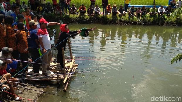 Puti Temui Petani Pembudidaya Padi Varietas Unggul MSP